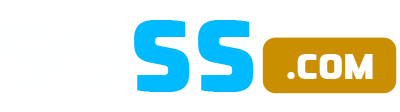 99SS.com